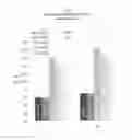Fig. 08 - NUTRITIONAL COMPOSITION HAVING LIPOPHILIC COMPOUNDS WITH IMPROVED SOLUBILITY AND BIOAVAILABILITY