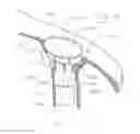 Fig. 09 - Fruit and vegetable juicer