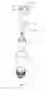 Fig. 07 - Liquid supply, atomizer and electronic cigarette having same