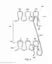 Fig. 07 - Method for forming a seamless knitted abutment