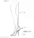 Fig. 07 - PROPER POSTURE HIGH-HEELED SHOES