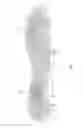 Fig. 05 - Shoe with lattice structure
