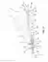 Fig. 08 - Shoe sole with energy restoring device