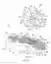 Fig. 04 - Article of footwear having an auxetic structure