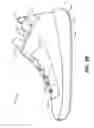 Fig. 04 - Lace engaging structures and other features for articles of footwear and other foot-receiving devices