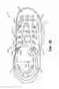 Fig. 06 - Lace engaging structures and other features for articles of footwear and other foot-receiving devices