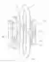 Fig. 01 - JEWELLERY CLASP
