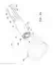 Fig. 04 - SPACE-OPTIMIZED VISUALIZATION CATHETER HAVING A CAMERA TRAIN HOLDER IN A CATHETER WITH OFF-CENTRED LUMENS