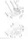 Fig. 17 - SPACE-OPTIMIZED VISUALIZATION CATHETER HAVING A CAMERA TRAIN HOLDER IN A CATHETER WITH OFF-CENTRED LUMENS