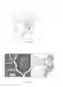 Fig. 08 - Systems and methods for quantitative microcirculation state monitoring