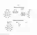 Fig. 20 - QEEG correlates of effective cognitive functioning—memory and problem solving—in diverse clinical conditions and normal populations