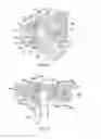 Fig. 07 - REFERENCE DEVICE FOR SURGICAL NAVIGATION SYSTEM
