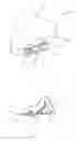 Fig. 03 - Apparatus for eliciting a blood sample