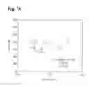 Fig. 19 - Measurement method and measurement device for brown adipose tissue