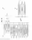 Fig. 09 - Device and system for measuring biometric information