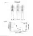 Fig. 04 - Method of Treating Cancer