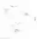 Fig. 06 - Plank Position Exercising Apparatus
