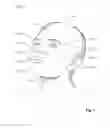 Fig. 02 - SELF DEFENCE TRAINING TOOL