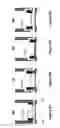 Fig. 08 - Actuated valve or pump for microfluidic devices