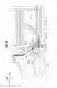 Fig. 09 - Vehicle body bottom structure