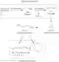 Fig. 07 - Method for preparing levulinic acid using solid acid catalyst in presence of ethylene glycol-based compound solvent derived from biomass