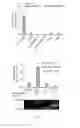 Fig. 04 - Lipids that increase insulin sensitivity and methods of using the same