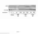Fig. 27 - Lipids that increase insulin sensitivity and methods of using the same