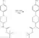 Fig. 216 - COMPOUNDS FOR REGULATING FAK AND/OR SRC PATHWAYS