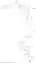 Fig. 286 - NOVEL TRICYCLIC COMPOUNDS