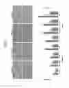 Fig. 09 - Method for culturing mesenchymal stem cells according to cell size