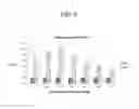 Fig. 12 - Method for culturing mesenchymal stem cells according to cell size