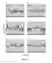 Fig. 07 - Compositions and methods for detecting predisposition to a substance use disorder