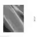 Fig. 136 - Silk performance apparel and products and methods of preparing the same
