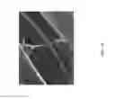 Fig. 158 - Silk performance apparel and products and methods of preparing the same