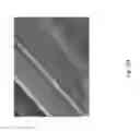 Fig. 167 - Silk performance apparel and products and methods of preparing the same