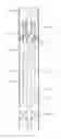Fig. 01 - Dual gravity gas separators for well pump