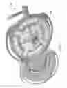 Fig. 04 - LAMP WITH A MAIN LIGHT SOURCE AND ADDITIONAL LIGHT SOURCES
