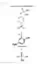 Fig. 23 - Methods and compositions for enzyme linked immuno and hybridization mass spectrometric assay