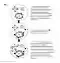 Fig. 09 - HIGH THROUGHPUT SCREENING FOR BIOMOLECULES