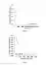 Fig. 10 - Methods of screening for Janus kinase 3 interacting compounds