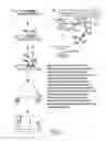 Fig. 02 - SYSTEMS AND METHODS FOR THE MOLECULAR QUANTIFICATION OF SKIN DAMAGE IN SKIN