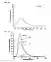 Fig. 08 - TETRAZINE-CONTAINING COMPOUNDS AND SYNTHETIC METHODS THEREOF