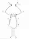 Fig. 01 - WEARABLE ELECTRONIC DEVICE