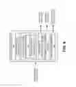 Fig. 07 - Protocol probes