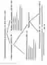 Fig. 80 - MOLECULAR PROFILING OF TUMORS
