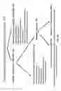 Fig. 80 - MOLECULAR PROFILING OF TUMORS