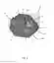 Fig. 04 - System and method of capturing and producing biometric-matching quality fingerprints and other types of dactylographic images with a mobile device