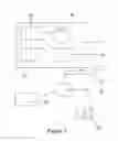 Fig. 02 - Method of data visualization and data sorting