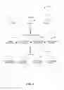 Fig. 07 - Social circle and relationship identification
