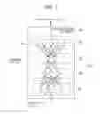Fig. 02 - Transfer learning apparatus, transfer learning system, transfer learning method, and recording medium